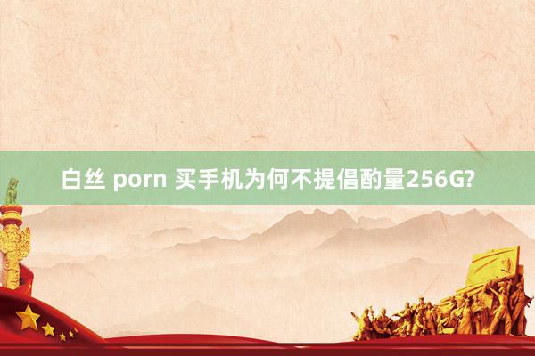 白丝 porn 买手机为何不提倡酌量256G?