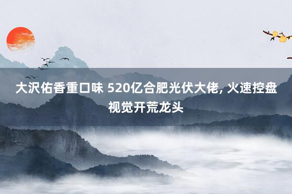 大沢佑香重口味 520亿合肥光伏大佬， 火速控盘视觉开荒龙头