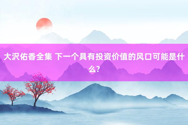 大沢佑香全集 下一个具有投资价值的风口可能是什么?