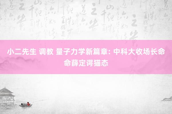 小二先生 调教 量子力学新篇章: 中科大收场长命命薛定谔猫态